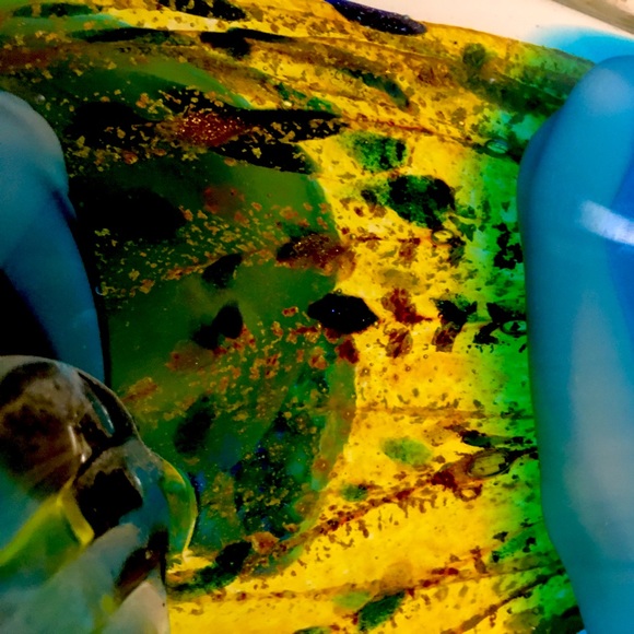 Hand Blown Art Glass Blue Green Yellow Saltwater Fish Paperweight Murano Style - Picture 7 of 11